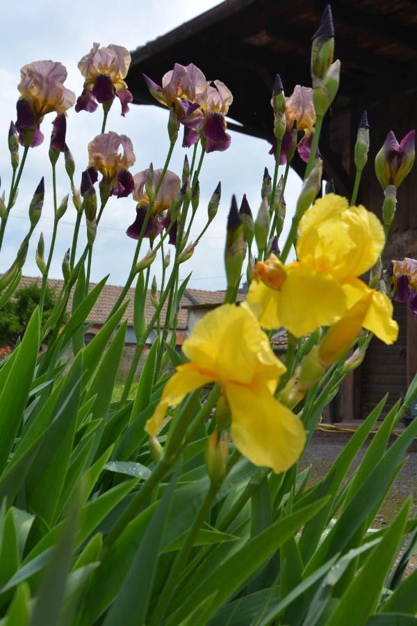Ferme Les Iris