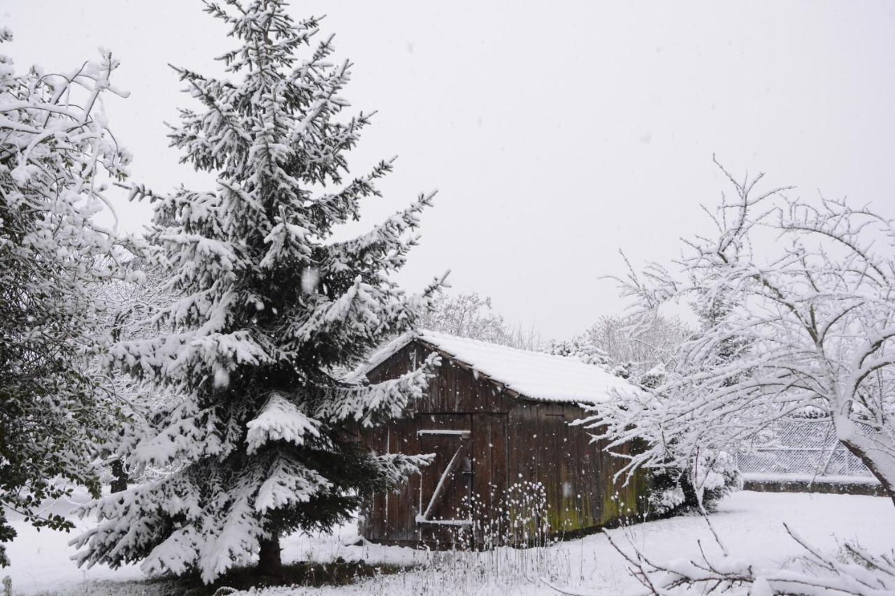 Apartment Ferme Les Iris Issenheim